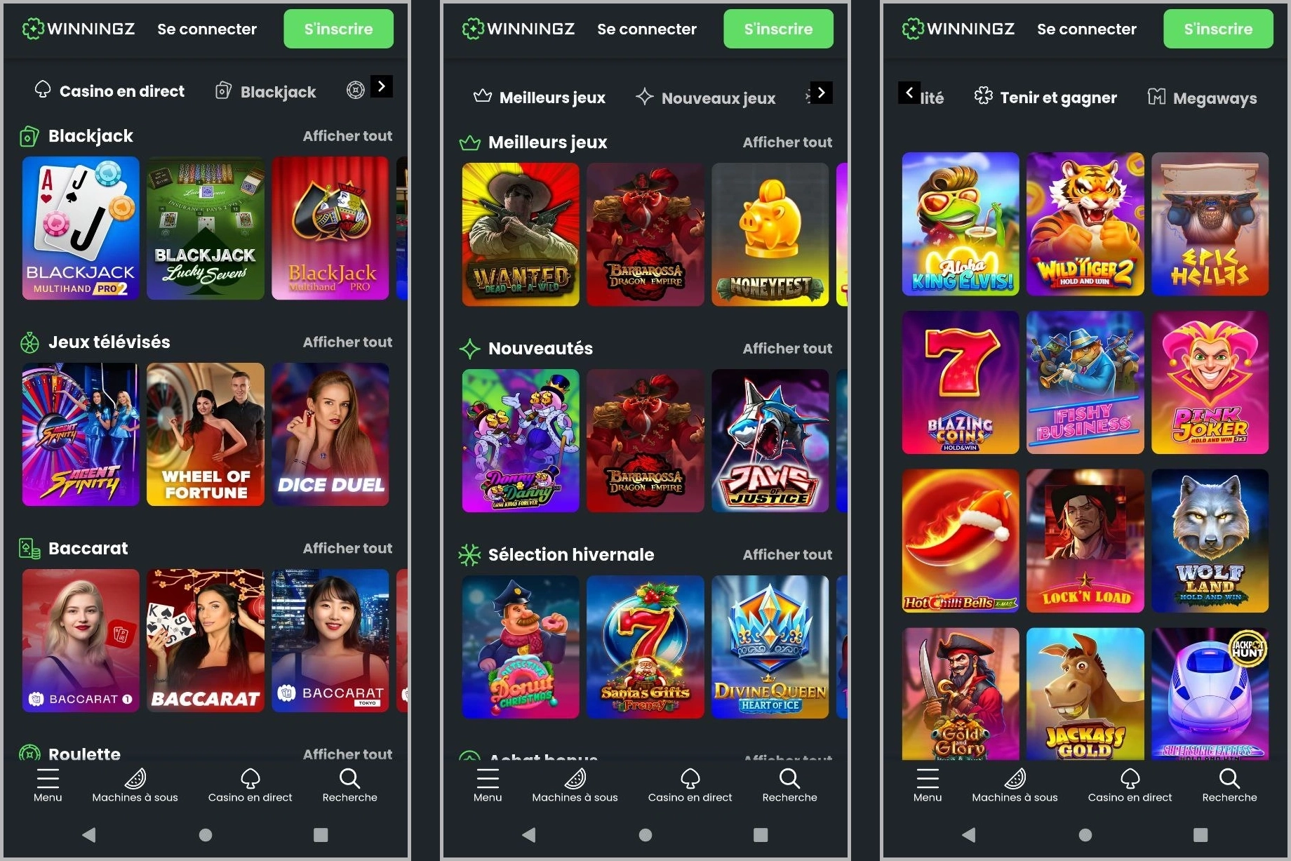 Collection complète de toutes les machines à sous chez Winningz